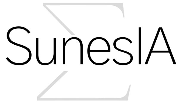 SunesIA Conseil